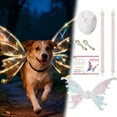 thumbnail image 1 of Accessoire Photo pour Chiens Moyens et Grands avec Éclairage LED, 1 of 5