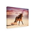 thumbnail image 2 of PHBurchett 'Running in the Sand II' Canvas Art, 2 of 3