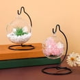 thumbnail image 3 of Miangastore 6pcs Desktop Glass Globe Hanging Rack Sturdy Air Planter Holder Hanging Rack for Terrarium, 3 of 9