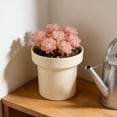 thumbnail image 7 of Nordic Style Mini Plastic Flowerpot - Simple Creative Desktop Flower Pots for Indoor Small, Durable Lightweight Pots, Fashionable Home & Office Decorative Flowerpot, 5*5*4in, Beige, 7 of 7