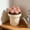 Beige, variant on er Mini Plastic Flower Pot Simple Indoor Desktop Container For Small s