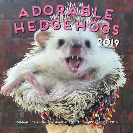 - Adorable Hedgehogs Mini 2019: 16-Month Calendar - September 2018 Through December 2019 (Other)
