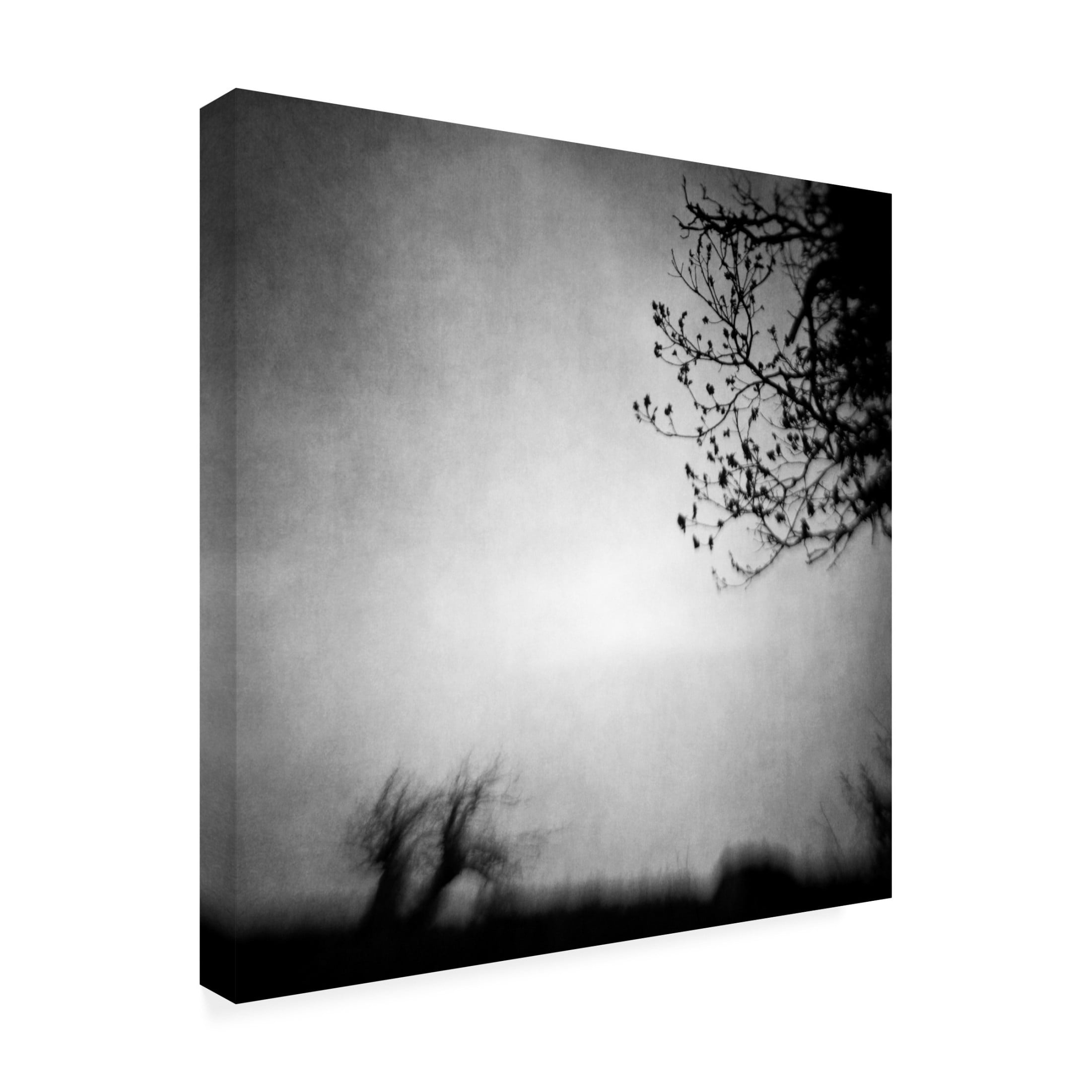 Canvas Wall Art - Vangelis Bagiatis 'The Space Between' Wall Art for Living Room, Bedroom, or Office D?cor by Trademark Fine Art - 35 x 35 Inches