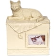 thumbnail image 1 of Comfy Hour 775 Porcelaine Angel Star Urne pour Chat Brun Collection Mémoire Aimante, 1 of 1