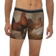 thumbnail image 2 of Picia Oil Painting Chicken And Duck Pattern Men's Athletic Long Leg Briefs , Performance Stretch Underwear，Moisture-Wicking, 2 of 7