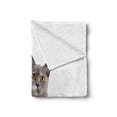 thumbnail image 2 of Kitty Soft Flannel Fleece Blanket, Couple Cat Sitting Next to Each Other Staring Studio Shot on Plain Backdrop, Cozy Plush for Indoor and Outdoor Use, 50" x 60", Taupe Grey and White, by Ambesonne, 2 of 5