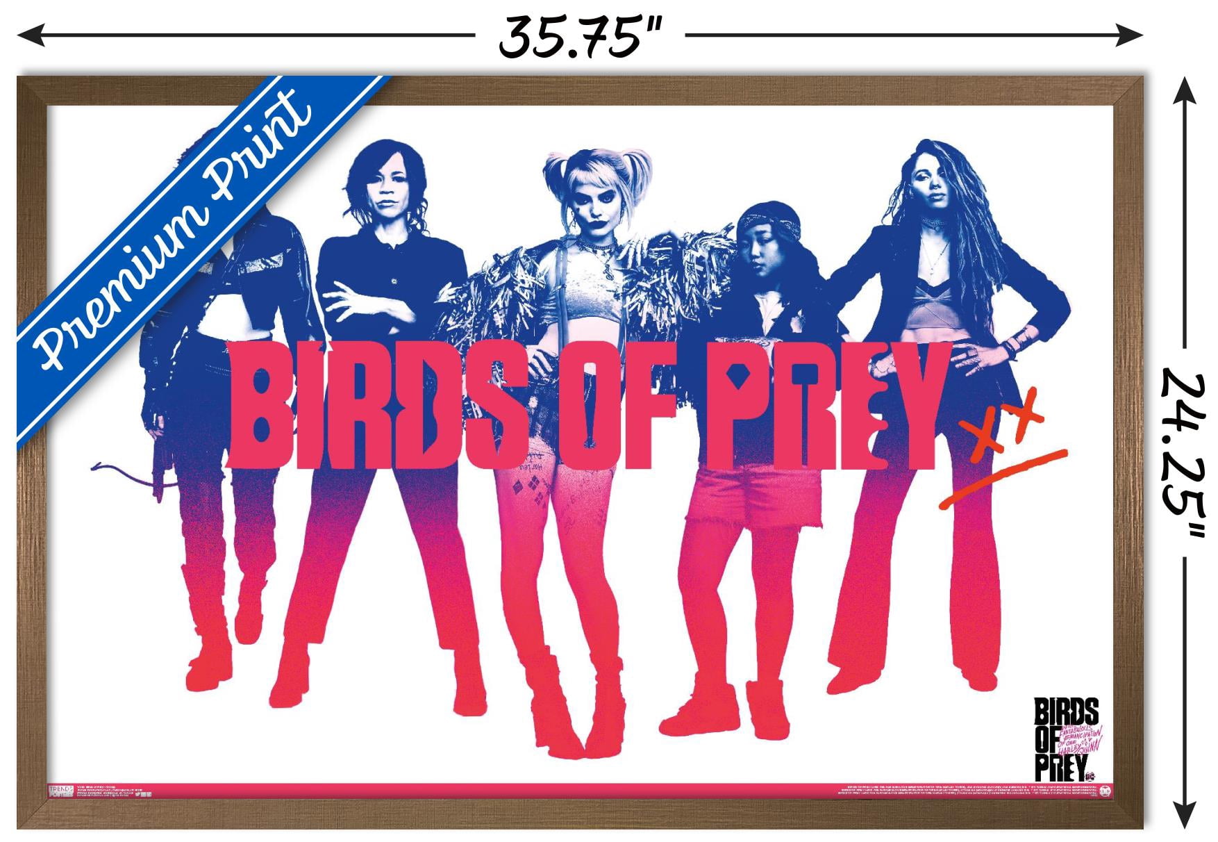 DC Comics Movie - Birds of Prey - Group Wall Poster, 22.375" x 34", Framed