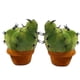 thumbnail image 1 of Cojín de peluche con forma de cactus, lindos sillones de peluche, 1 of 4