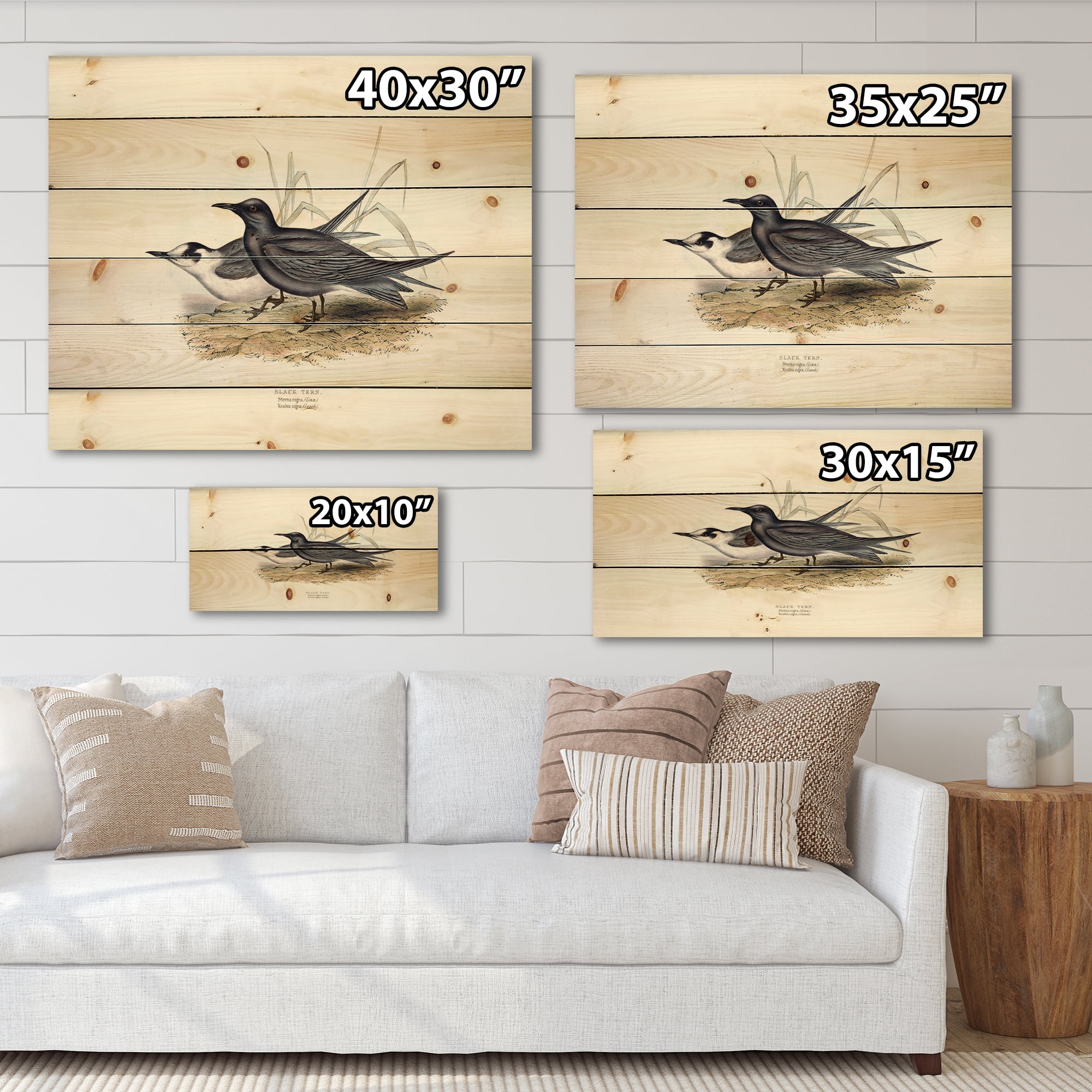 Designart 'Ancient Bird Of Europe II' Traditional Print on Natural Pine Wood
