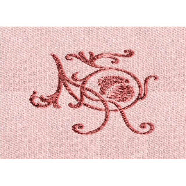 Ahgly Company Tapis Rectangulaire Lavable en Machine Intérieur Transitionnel Rouge Pastel Rose, 4 Pieds x 6 Pieds