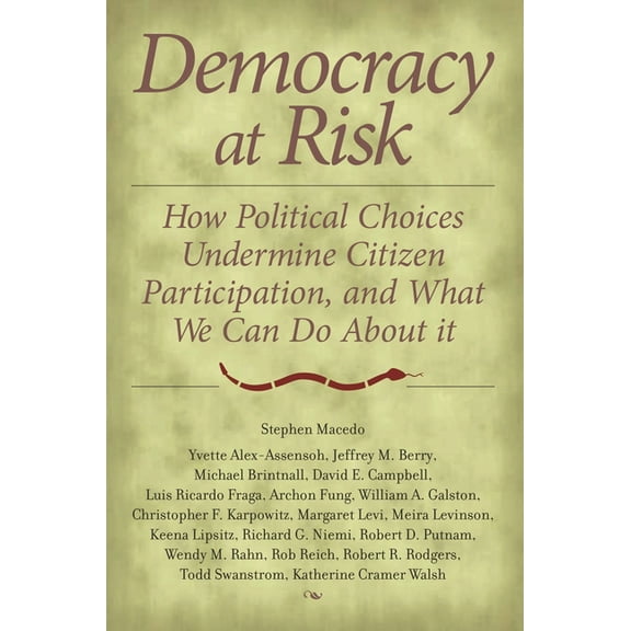 Democracy at Risk: How Political Choices Undermine Citizen Participation, and What We Can Do about It, (Paperback)