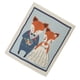 thumbnail image 5 of Bearachild Cuencos de paño de limpieza de cocina, toalla de , vajilla, herramienta de limpieza, paños absorbentes para platos con patrones pareja de zorros 2Conjunto, 5 of 6
