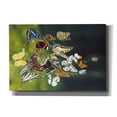 thumbnail image 1 of Epic Graffiti 'Butterflies' by Harro Maass, Canvas Wall Art, 26"x18", 1 of 8