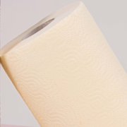 Renova Cream Paper Towel Roll 2 Ply 120 Sheets – Same Count, Now More Compact and Absorbent