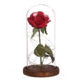 thumbnail image 1 of CAROOTU LED Rose Flower Decor Battery Powered String Light Desk Lamp Romantic Valentine's Day Gift, 1 of 7