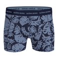 thumbnail image 6 of Björn Borg Men's Boxer Shorts, 7-Pack - Cotton Stretch Boxer, Logo Blue Xl (X-Large), 6 of 10