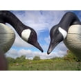 thumbnail image 2 of Canada Goose Decoy Flocking Kit Large 100 Decoy Heads, 2 of 3