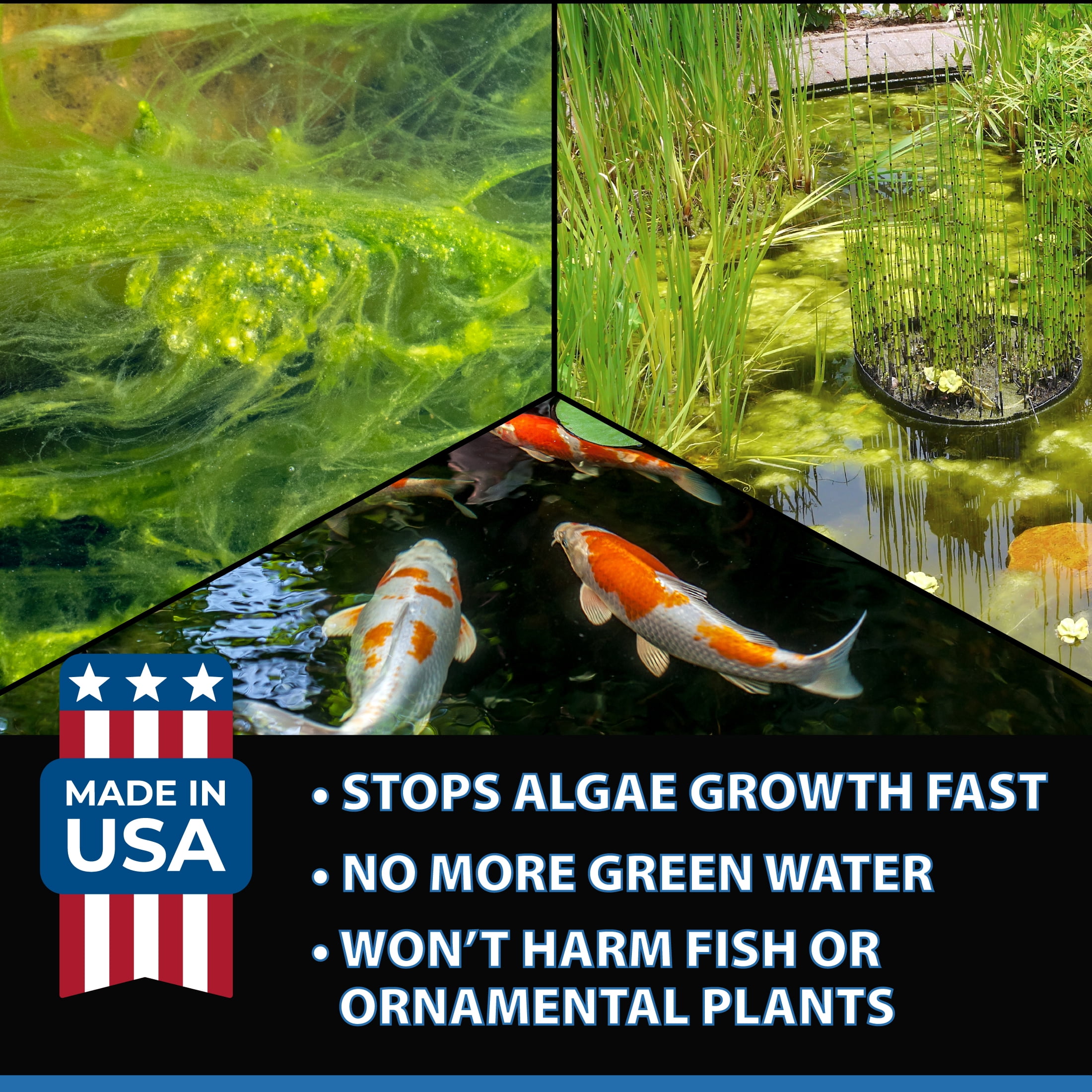 CrystalClear Algae D-Solv EPA-Registered Pond Algaecide, 16 Ounce