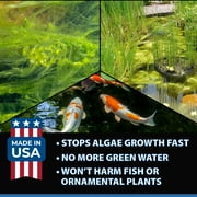 CrystalClear Algae D-Solv EPA-Registered Pond Algaecide, 16 Ounce