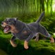 thumbnail image 5 of Modelo animal en miniatura, juguete educativo para niños, modelo animal lindo, modelo de perro de juguete, calidad en la que puede confiar, 5 of 8