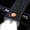 Black A, variant on Bike Lighting Rechargeable LED Bike Headlight High-Brightness USB Cycling Front Lamp for Mountain Road Bikes Night Riding Safety Light Waterproof for Commuting Riding Perfect for Cyclists Black A