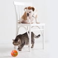 thumbnail image 3 of Decodeary Interactive Puppy Pet Ball Hours Of Entertainment For Playful Pooch Interactive Yellow, 3 of 6