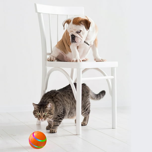 Dog activity ball hot sale