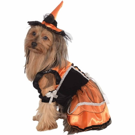 Orange Witch Halloween Pet Costume (Multiple Sizes Available)