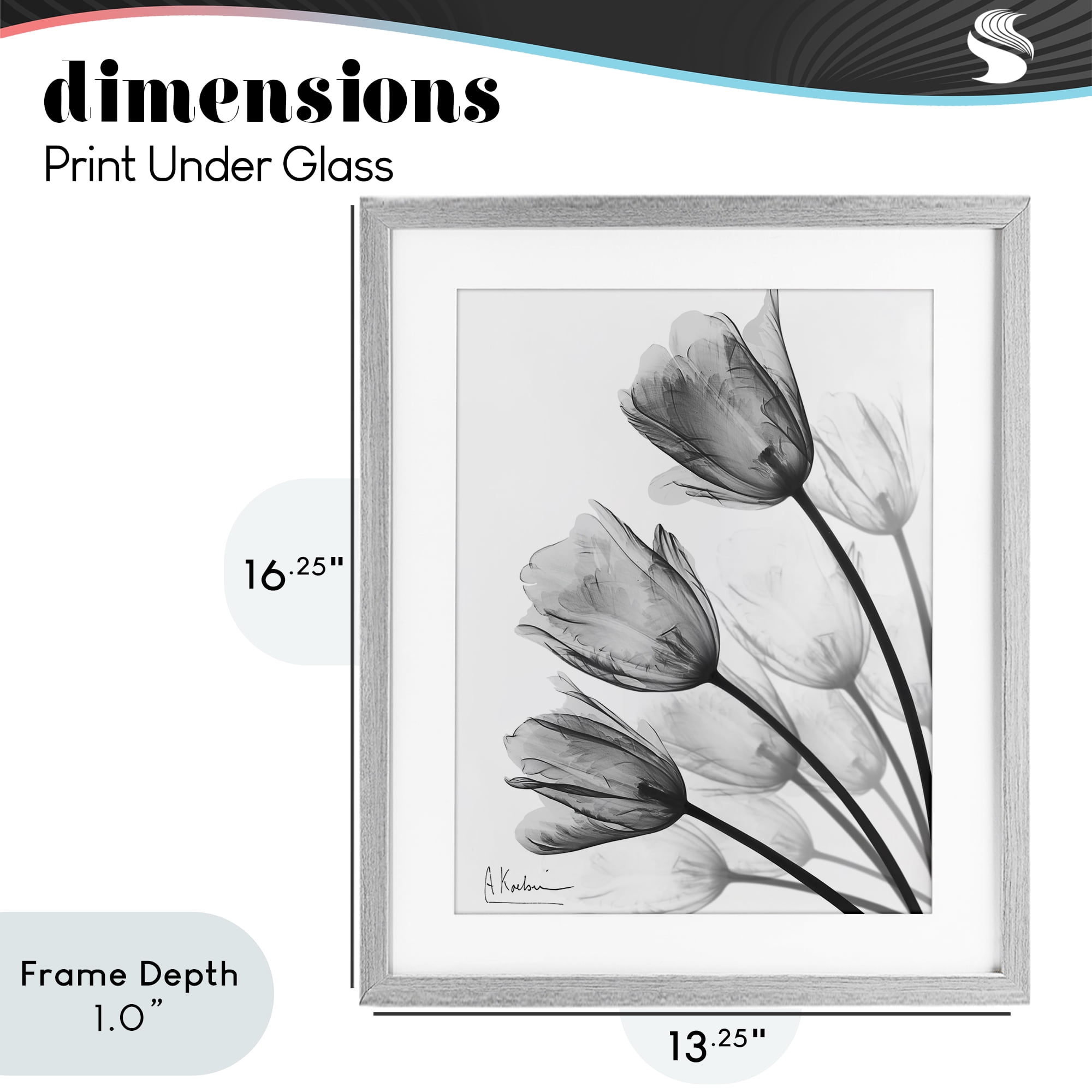 Stupell Industries Minimalist Tulip Fan Gray Framed Print Under Glass, design by Albert Koetsier