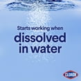 thumbnail image 6 of Clorox Concentrated Bleach Powder, 21.1 oz, 6 of 12