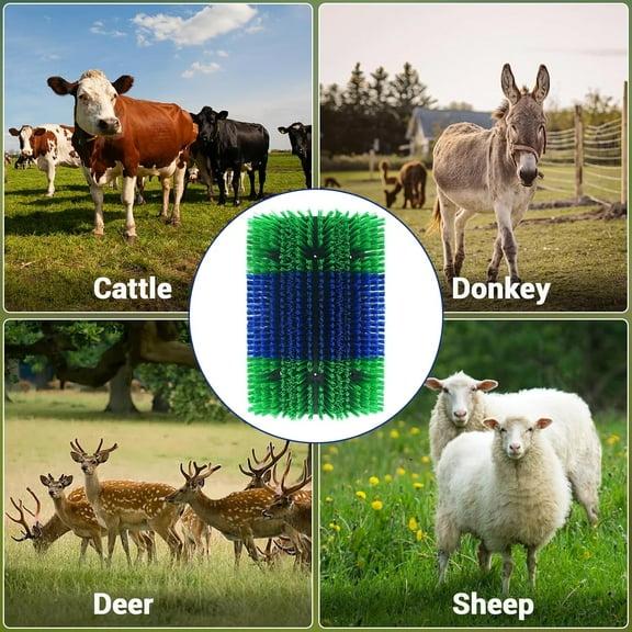 Acekid Livestock Scratching Brush - 2PCS Set with Durable Plastic & Nylon Hard Bristles - Triple-Sided Design for Cow & Horse - Outdoor Farm & Ranch Grooming Tool - Blue & Green