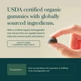 thumbnail image 4 of Gaia Herbs Organic Ashwagandha Gummies - Stress Support* - Made with Cinnamon & Ginger - Gluten Free & Vegan - 45 Count (15 Servings), 4 of 9