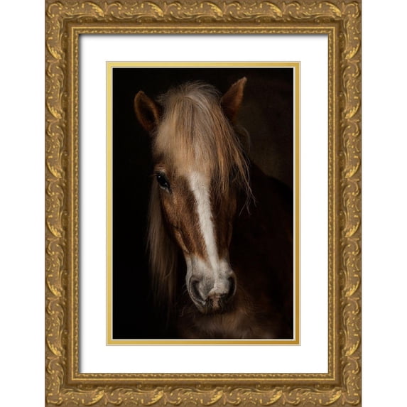 Benezech, Martine 13x18 Gold Ornate Wood Framed with Double Matting Museum Art Print Titled - Sapience