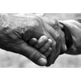 thumbnail image 3 of Raising Grandkids: Inside Skipped-Generation Families, 3 of 3
