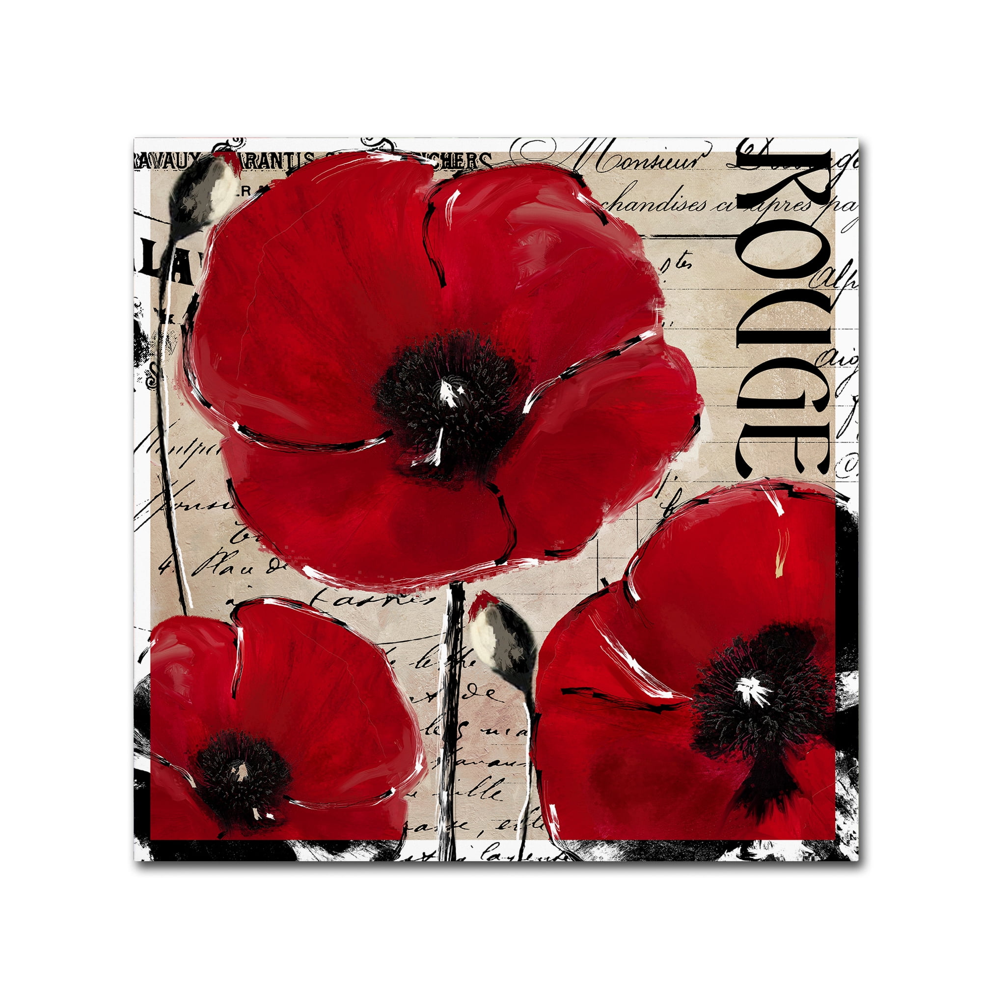 Trademark Fine Art "Rouge Two" Canvas Art by Color Bakery