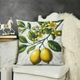 thumbnail image 2 of Lemon Throw Pillow Covers Summer Fruit Farmhouse Decorative Pillows Case Soft Velvet Cushion Covers for Couch Sofa Patio Garden Home Decor, 2 of 5