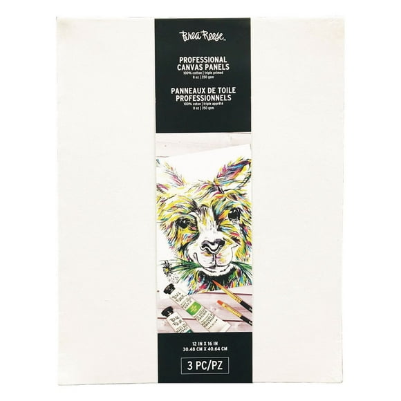 PANNEAUX EN TOILE DE BREA REESE 12X16 3PC