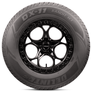 Delinte DX11 Bandit H/T LT225/75R16 E/10PLY Light Truck & SUV Tire Sansujyuku sansujyuku.com