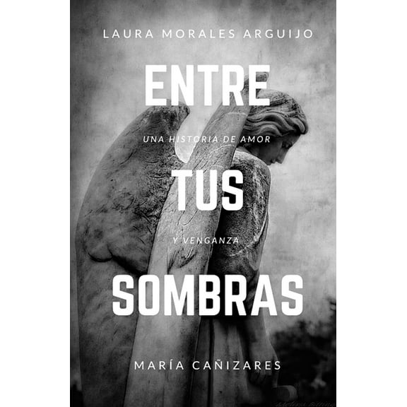 Entre Tus Sombras (Paperback)