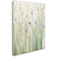 thumbnail image 2 of Trademark Fine Art "Spring Grasses II Crop" Canvas Art by Avery Tillmon, 2 of 3