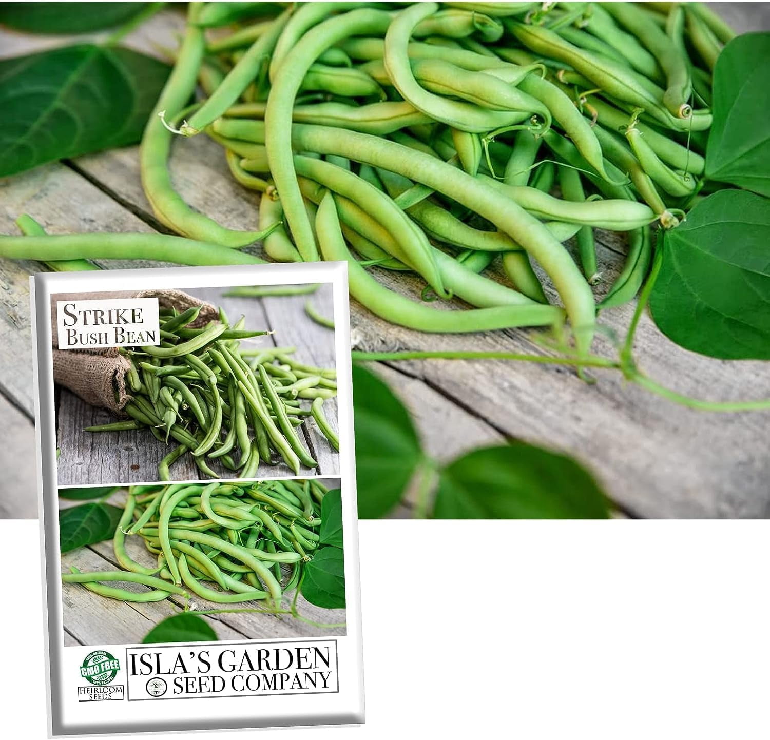 Strike Bush Bean Seeds for Planting, 30+ Heirloom Seeds Per Packet, (Isla's Garden Seeds), Non