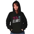 thumbnail image 4 of Feel the Illinois Funny Cool Lincoln Unisex Plus Fleece Graphic Hoodie Brisco Brands 2X, 4 of 5