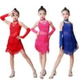thumbnail image 4 of XXWXYD Girls Sequin Dress Latin Dance Fringe Sparkling Ballroom Figure Skating Tassel Performance Dress Party Wear Competition Outfit, 4 of 4