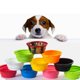 thumbnail image 5 of Cuenco plegable para perros con tapas, 2 piezas de silicona para alimentos y agua, cuenco plegable portátil para mascotas MFZFUKR CPB-DE-SSW2190-1, 5 of 5