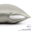 thumbnail image 3 of TAFTS Silk Pillowcase 22 Momme 100% Pure Mulberry Silk Pillowcase & Sleep Mask for Hair and Skin, Grade 6A Long Fiber Natural Silk Pillow Case, Concealed Zipper, Queen, Greige, 3 of 3
