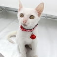 thumbnail image 3 of OULII 3Pcs Pet Safety Neckchain with Japanese Style Flower Print and Comfortable Adjustable Belt, 3 of 3