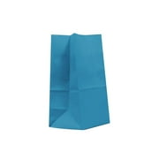 40CT Paper Bag, Favor Sack,Biodegradable, Food Safe Ink & Paper (Thicker), Favor Sack, Kraft Paper Sack (Small, Turquoise)