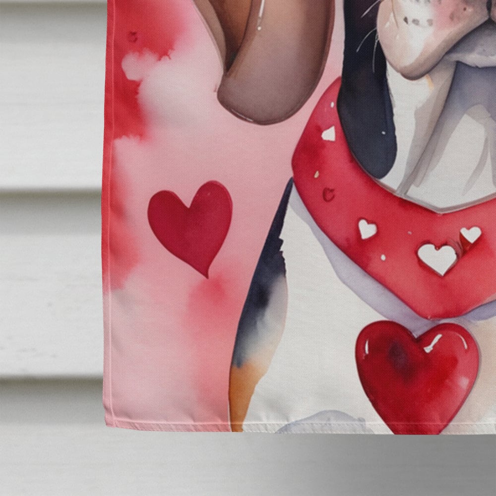 American English Coonhound My Valentine House Flag 28 in x 40 in