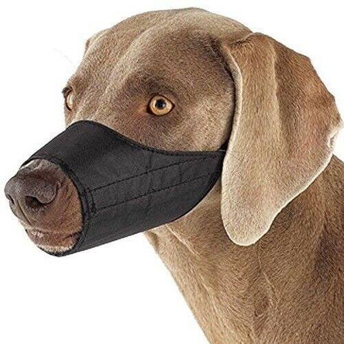 Large Breed Dog Muzzles Soft Nylon Lined Protection Choose Black Blue