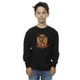 thumbnail image 2 of Harry Potter Boys Gryffindor Chest Badge Sweatshirt, 2 of 3